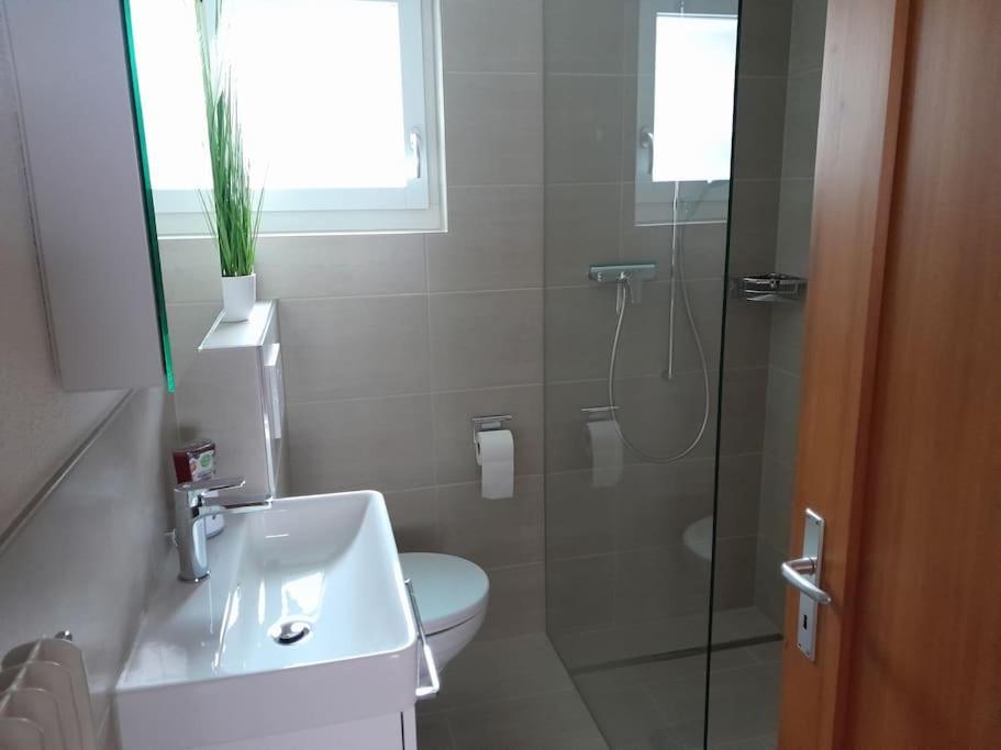 2 1/2 Zimmer Ferienwohnung Meiringen Kültér fotó