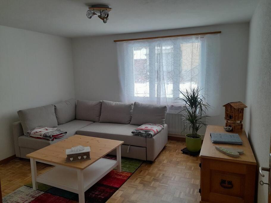 2 1/2 Zimmer Ferienwohnung Meiringen Kültér fotó